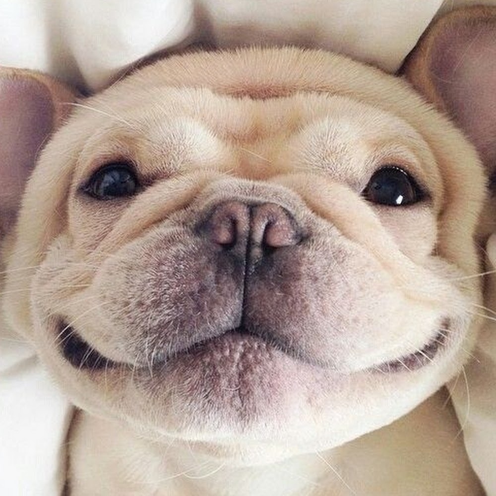 Meet your Posher, Ava